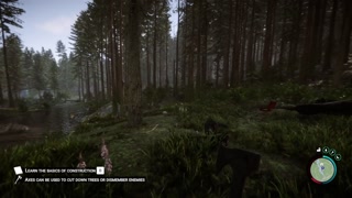 Step Sons of the Forest