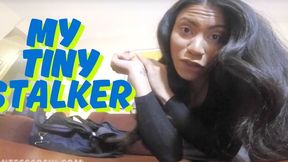 Giantess Crew- Giantess Yoko- My Tiny Stalker