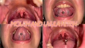 Tour of my mouth