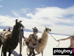 Babes posing and riding on sand yachts