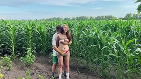Stepbrother has Public Sex with Stepsister while walking through a cornfield