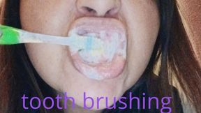 Brushing my teeth for a good blowjob...