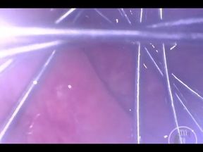 Whisk Spreading My Ass From Inside