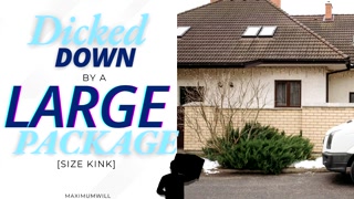 Size Kink Audio - Delivery Driver CUMS inside and Dicks You Down