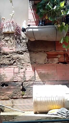 Straw on house background