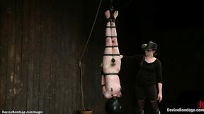 ”Strapped lesbian in inverted suspension”