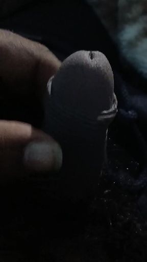 Penis Exercise and Eriction