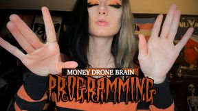 Money Drone Brain Programming