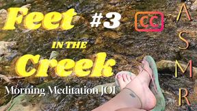 Feet in a Creek: Morning Meditation ASMR JOI Timer #3 w/ SUBTITLES | Relaxing Femdom Foot Worship with Cum Countdown | Flip Flops & Painted Toes