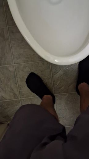 Morning Shelter Piss