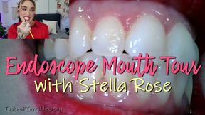 Endoscope Mouth Tour - Stella Rose - MP4 720 HD