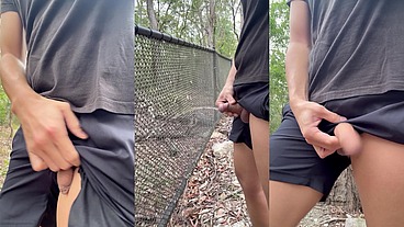 Flash Splash On Fences