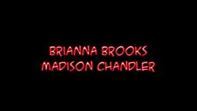 talon gets threesome blowjob from briana brooks and madison chandler