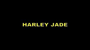 jerry kovak creeps on harley jade s wet pussy