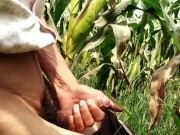 Indian gay big cock handjob in corn field
