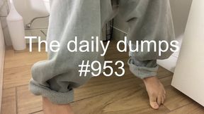 The daily dumps #953 mp4