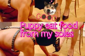 Puppy eats food from shiny pumps | Cagnolino prende il cibo dalle suole
