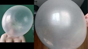 BG mix super bubble apple & elite bazooka 50 pieces