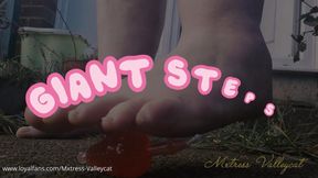 Giant Steps