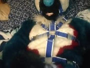 Pawing off in a harness