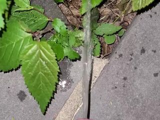 Pissing On The Plant three 《4k》