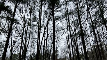 Clitlicker662 - update #60 - IMG 1592 - Mar 13, 2026