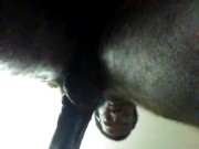 Tuesday quick nut