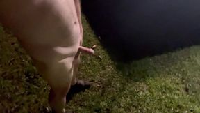 Walking Naked Outside at Home at Night with Erection While Masturbating with Cars Going by
