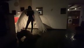 PREVIEW: CRUEL REEL - WO ANGEL HAUSEN, DA IST DER HIMMEL...