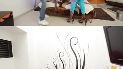 Dream threesome with shemale female and male