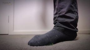 Find&eacute_mon Vol. 1 - Kneel or Rot - LV1 Findom