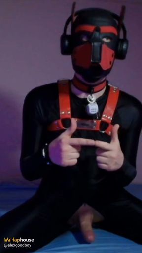 Remote Controlled Puppy Whimpers While Jerking off