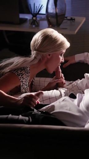 Not Safe for Work! Miss Sally, Joe di Marco &amp; Sam Bourne at SinfulXXX   Clip 2
