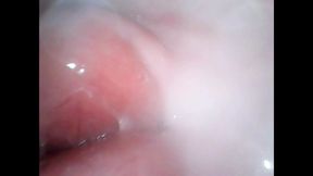 lick me inside