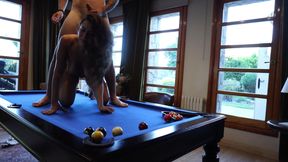 Millionaire Fucks Amazing Woman on Top of the Billiards - Mica