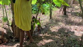 I hid behind a tree and watched the bath.