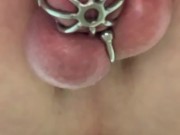 Sissy rides a wall mounted suction plug