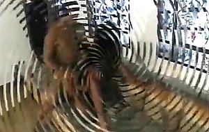 Slender brunette tgirl gets ass banged