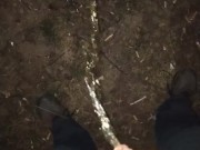 Peeing in the night