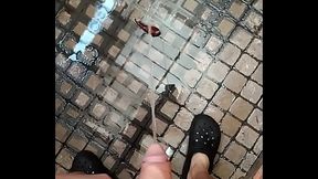 Pissing in the yard