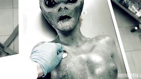 Rosswell Alien Gray wants the human penis.