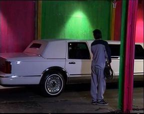 An Old Pig in New York