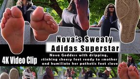 4k | Nova's Sweaty Adidas Superstar Dangling Tease POV - Fishnet Stockings Foot Smelling, Licking & Worship - Stinky Cheese Feet Socks Removal Foot Fetish Goddess Domination