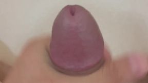 ????????