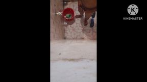 Hot Young Man in Bat and Show Dick