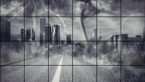 LP-281 Sex Wrestling 4 Way Mixed Match-4K