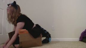 A day in the life of Kitten Pixie