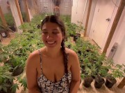 Greenhouse Gawk – POV BJ in the Grow