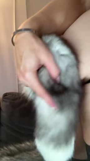 Dirty talking 420 smoking Fox shows off butt plug tail with real fur, admits fetish