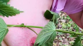 Whip my tits with nettles